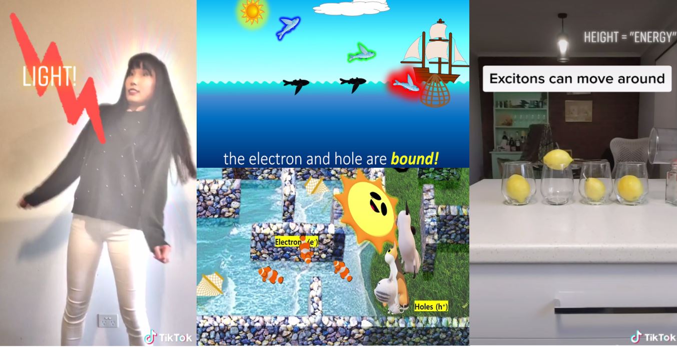 Several entries from the What is an Exciton competition featured cats, fishing, and other creative techniques to explain Excitons.